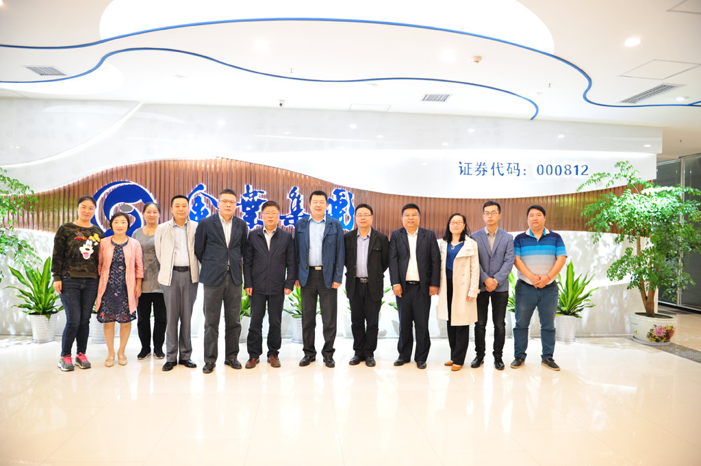 金葉集團信息化項目啟動大會順利召開