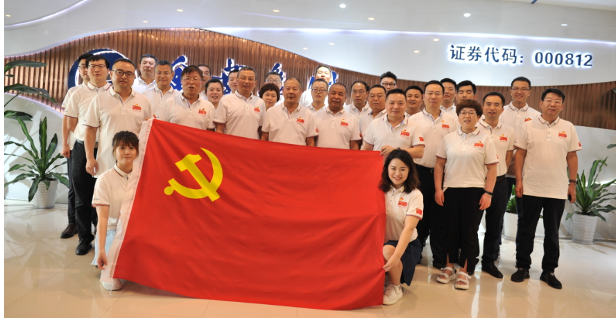 紀(jì)念百年路  聚焦奮進(jìn)時——金葉集團(tuán)黨委熱烈慶祝建黨100周年