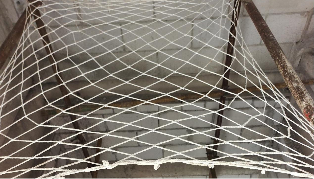 夯實安全管理基礎(chǔ) 提高全員安全意識 筑牢安全生產(chǎn)防線 金葉科教集團深入開展2024年安全管理專項行動之教育事業(yè)篇