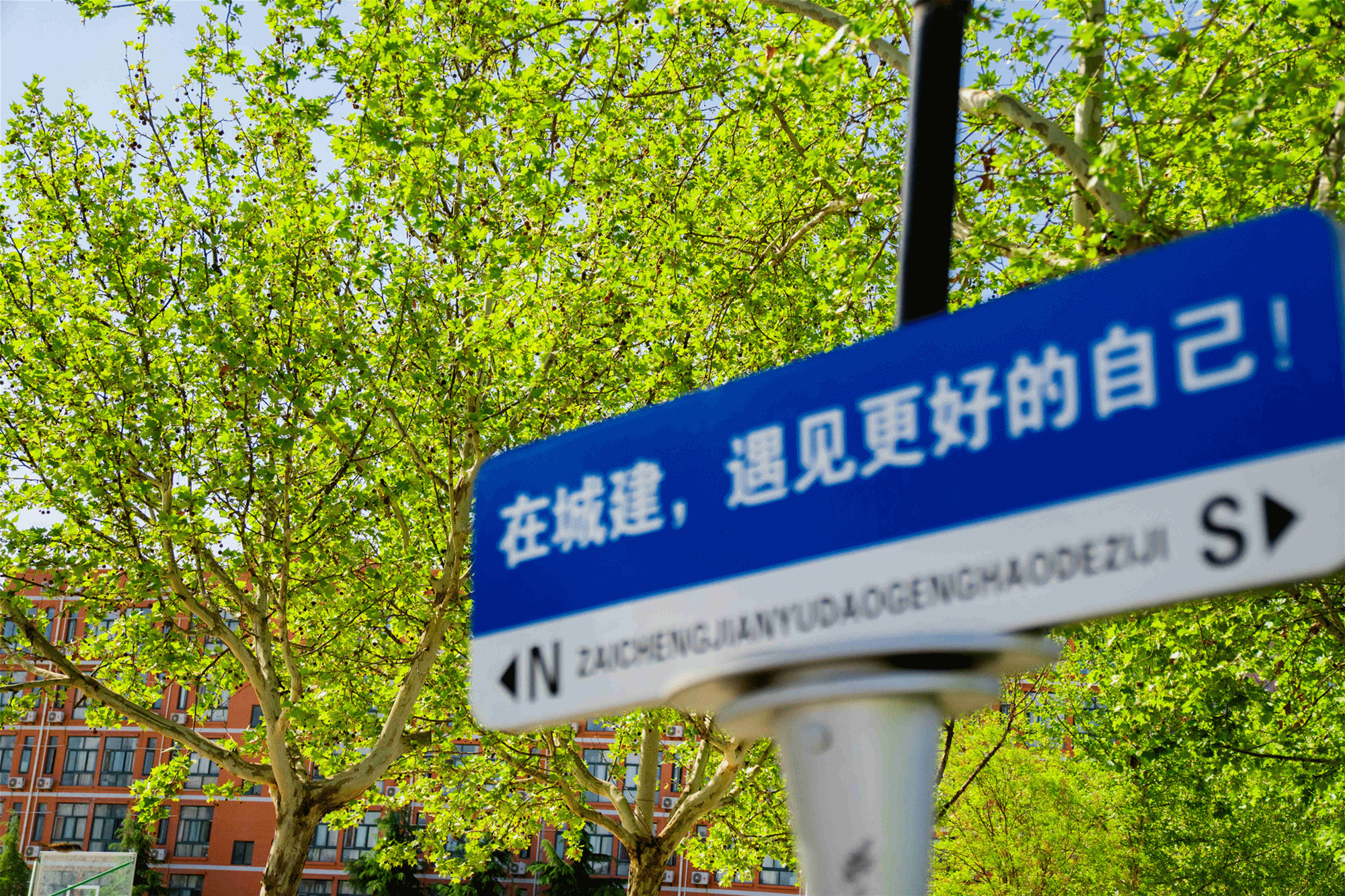 以綠色發(fā)展理念 賦能育人創(chuàng)新——金葉科教集團(tuán)教育事業(yè)兩校生態(tài)環(huán)境建設(shè)獲省級(jí)認(rèn)可 以綠色發(fā)展理念 賦能育人創(chuàng)新——金葉科教集團(tuán)教育事業(yè)兩校生態(tài)環(huán)境建設(shè)獲省級(jí)認(rèn)可