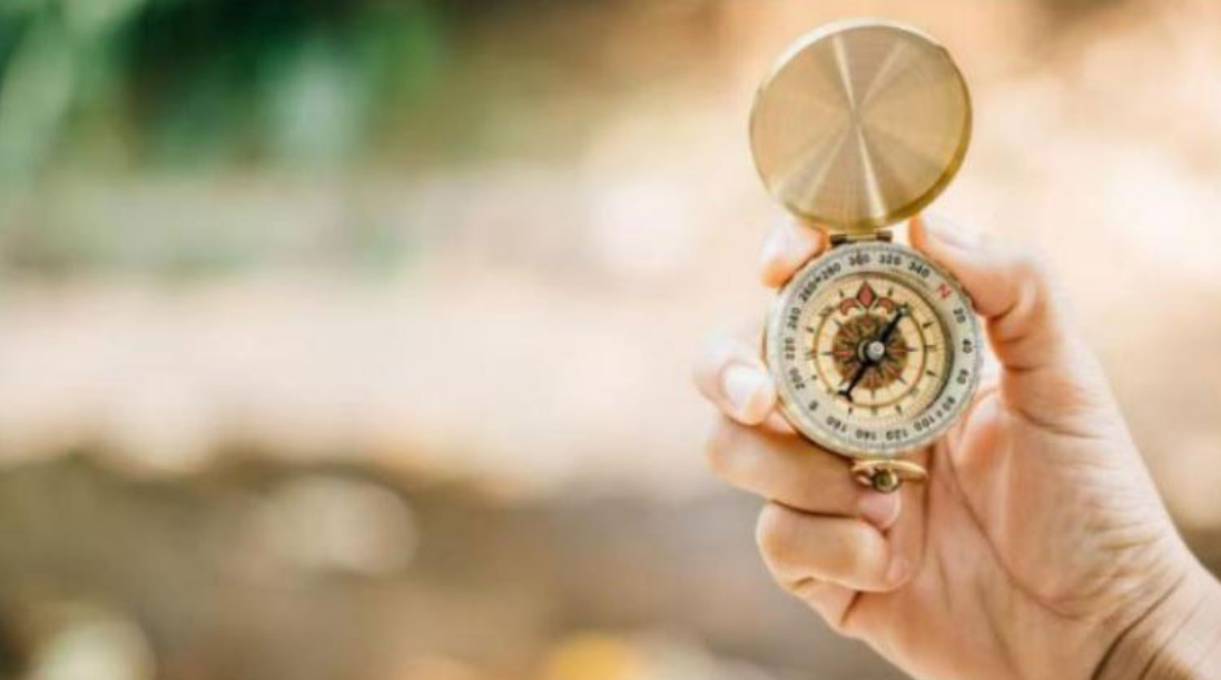 《證券時(shí)報(bào)》報(bào)道 | 陜西金葉：前三季度雙主業(yè)穩(wěn)健發(fā)展 多元布局積蓄成長(zhǎng)新動(dòng)能